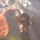 Illustration for article titled FKA twigss iFallon /iPerformance Was Pure, Raw Sexual Power